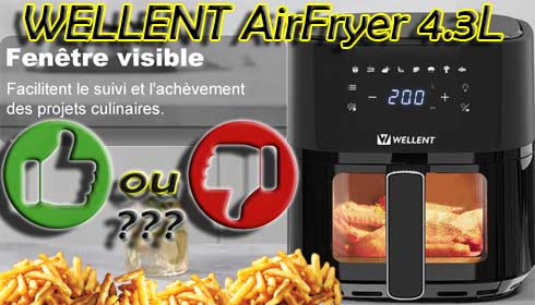 Avis sur les avantages & inconvénients de la friteuse sans huile WELLENT 4,3 litres