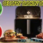 Avis sur Cecofry Duo 6000 Smokin' : ses points forts et ses points faibles